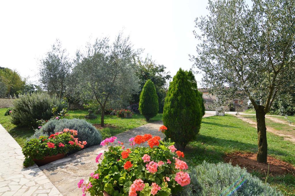 Garden Apartment Maria Vrsar Buitenkant foto